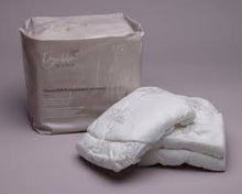Load image into Gallery viewer, Bubba Bump Disposable Postpartum Underwear
